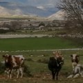 Uno sguardo agli agenti patogeni trasmessi dal sangue sul posto di lavoro
